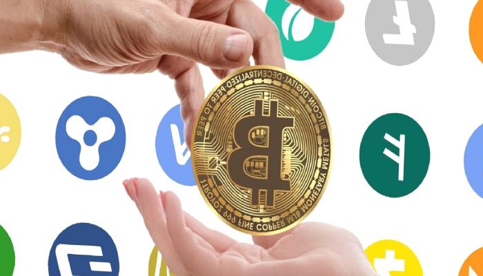 LINK ve Bu 7 Altcoin İçin Sıcak Gelişme: Paydaşlık da Var!