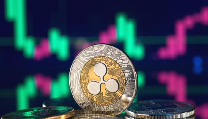 Ripple Sahipleri Dikkat: 1 Hafta İçinde Oylama Başlıyor!