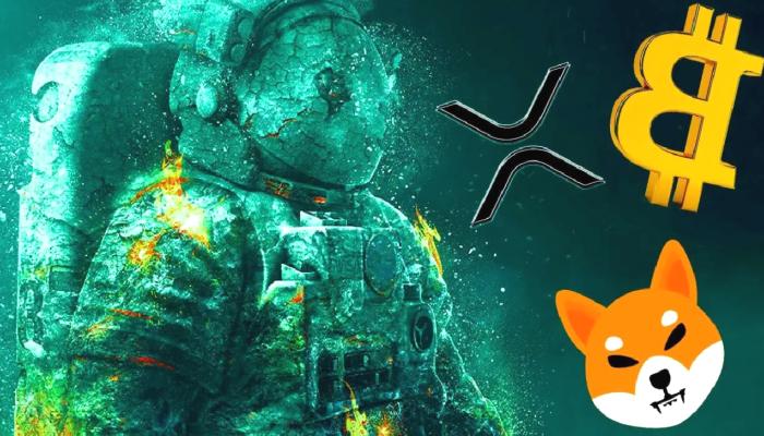 SHIB, BTC, Ripple: Şubat’ta Bu Düzeyleri Bekleyin!