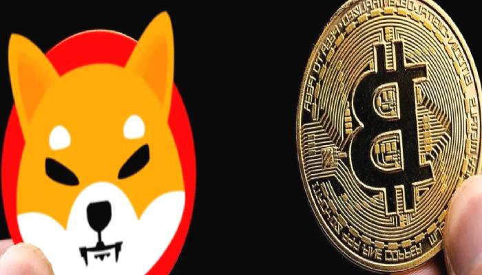 SHIB ve Bitcoin: Şubat’ta Bu Sayılar Bekleniyor!
