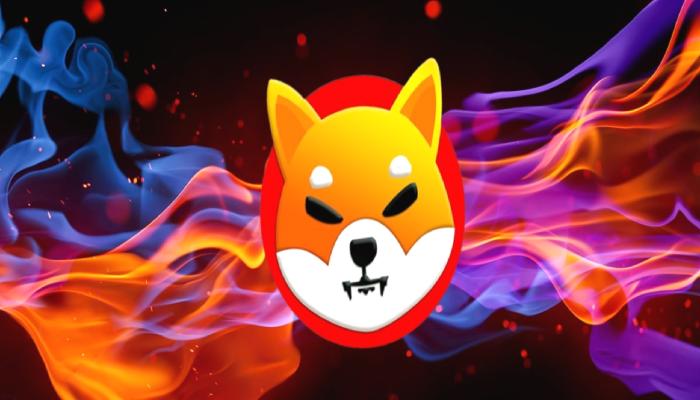 Shiba Inu İçin 5 Son Dakika Gelişmesi: Tarih de Verildi!