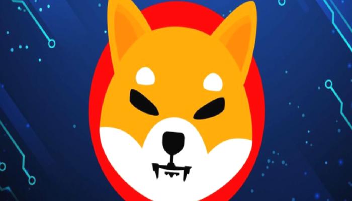 Shiba Inu Mucidi, Büyüleyici Gerçekleri Paylaşıyor!
