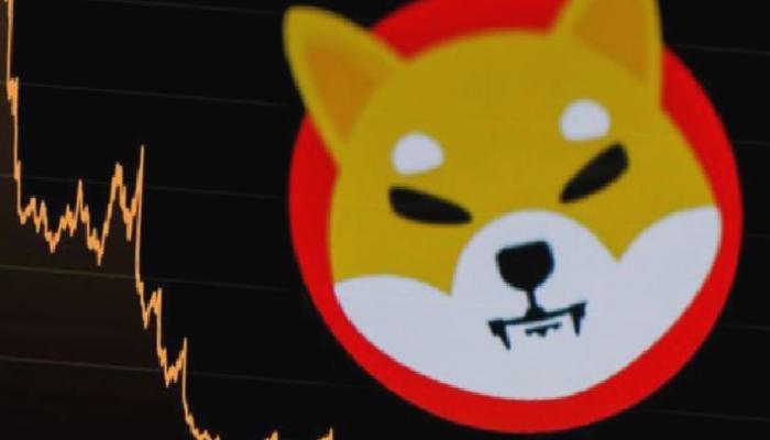 Shiba Inu Mucidi: SHIB Ekosisteminin Geleceğinin Anahtarı Bu!