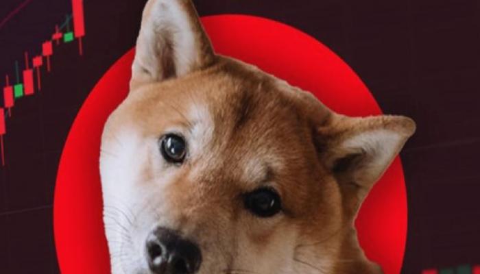 Shiba Inu Yatırımcıları Dikkat: 6 Büyük Gelişme Açıklandı!