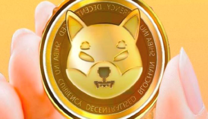 Shibarium, Yerel Token için Net Bir Seçim Yaptı!