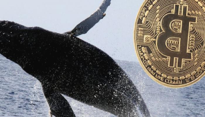 Tarihi Bitcoin Balinası Durmuyor: Yüklüce Bundan Alıyor!