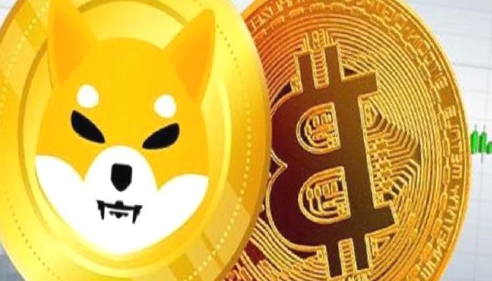 Tarihi Metrik: 10 Gün İçinde SHIB ve BTC Bu Seviyelerde!