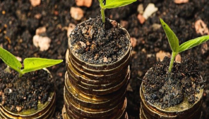 TerraCVita, Terra Classic Projesi için 1 Milyon Dolar Topladı