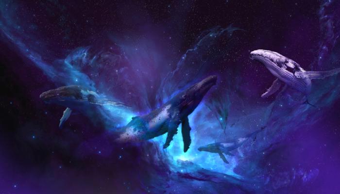 Türklerin Aldığı Altcoin Duyurdu: Hack ve Balina Satışı!