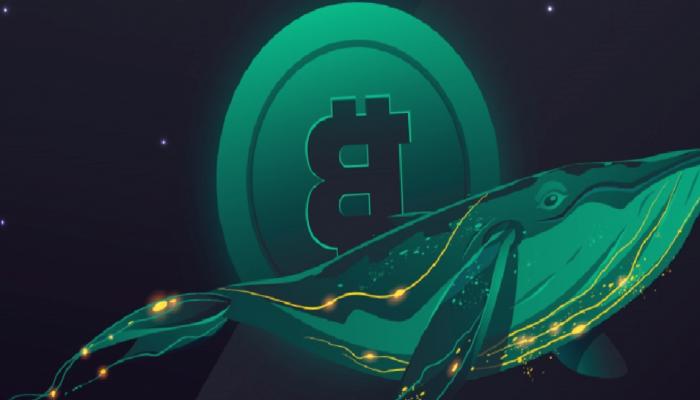 Ünlü Balinanın Yorumu: Gelecek 8 Yılda Bitcoin Ne Olacak?
