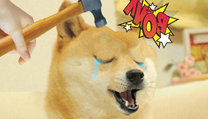 Yeni Milyonerleri DOGE, BONK Değil: Bu 2’si Doğuracak!