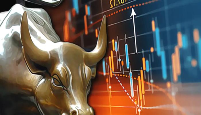 Analist: Sıradaki Boğa Koşusunda Bu Altcoin Başı Çekecek!