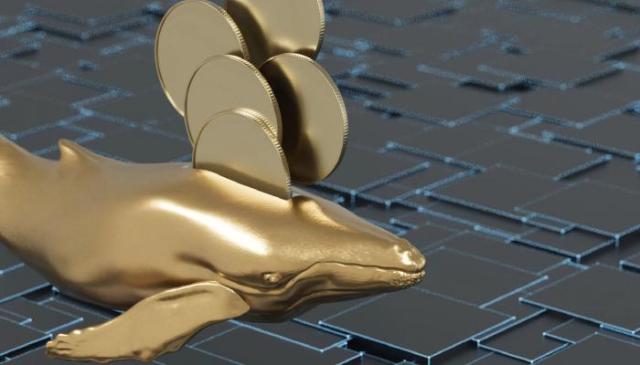 Balinalar LINK ve Bu 7 Altcoin’de Taban Avcılığı Yapıyor!