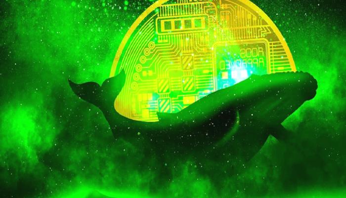 Balinalar, Türklerin Favori Metaverse Coin’ine Saldırdı!