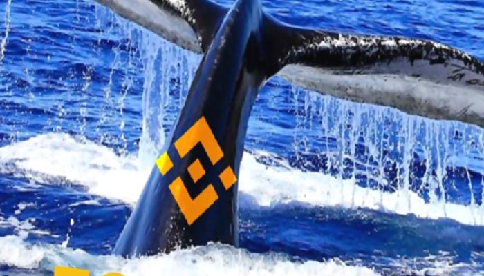 Binance Balinaları, ADA ve Bu 5 Altcoini Süratle Alıyor!