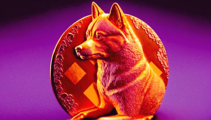 Binance Duyurdu: SHIB, DOGE ve Bu Coinler İçin Müjde!