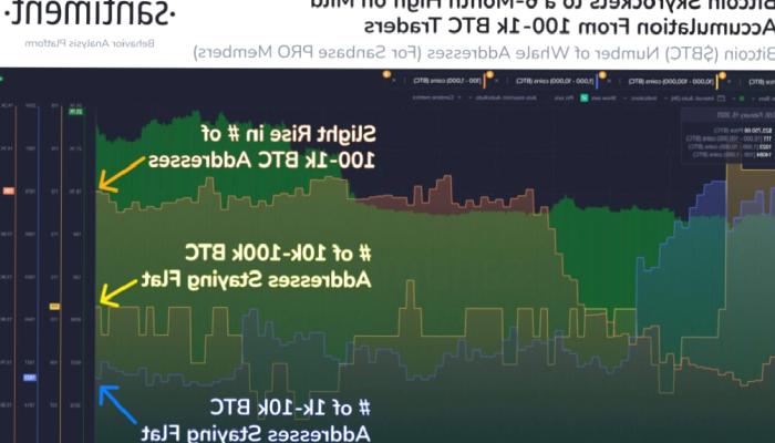 Bitcoin Fiyatı 6 Ayın Zirvesinde! Neden Yükseliyor?