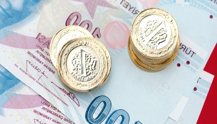 Bitcoin’in Ötesine Bakmak: Türkler ‘Bu Altcoinler’ Dedi!