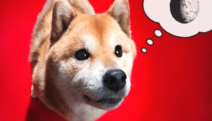 Bu 5 Meme Coin Yükselişiyle Dogecoin’i Bile Devirdi!