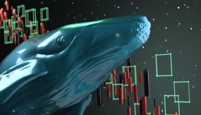 Bu 8 Altcoin İçin Büyük İhtar: DeFi Balinalarının Elinde!