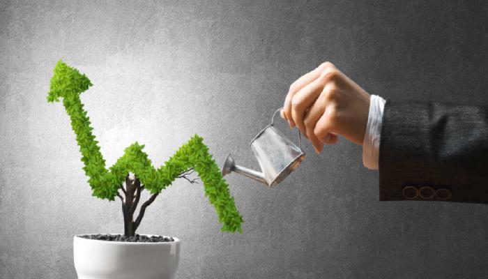 Büyük Kâr: Gizemli Cüzdan, Bu Altcoin’de 5.000x Yaptı!