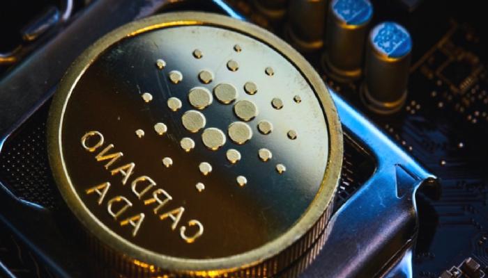 Cardano Üzerine İnşa Edilen Proje Sayısı Arttı
