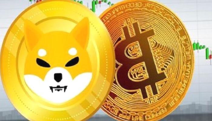 Çok Kez Bildi! ‘BTC ve SHIB Şubat’ta Bu Seviyelerde’