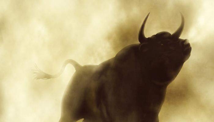 Dev Kestirimci: Boğalar Geliyor! Bu Altcoinler Yatırımlık