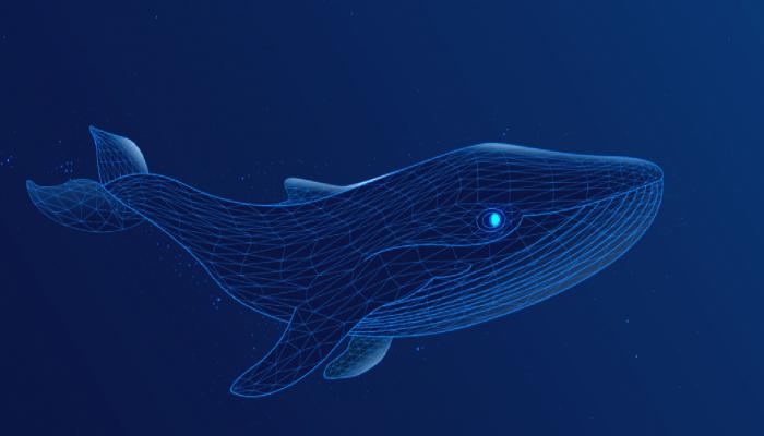 Dev Kripto Balinası Alım Yaptı! Bu ise Açığa Satılıyor!