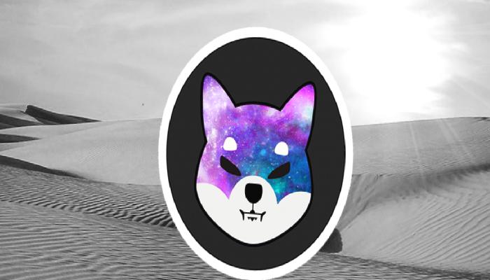 Dikkat: Shiba Inu (SHIB) İçin 6 Sıcak Gelişme Var!