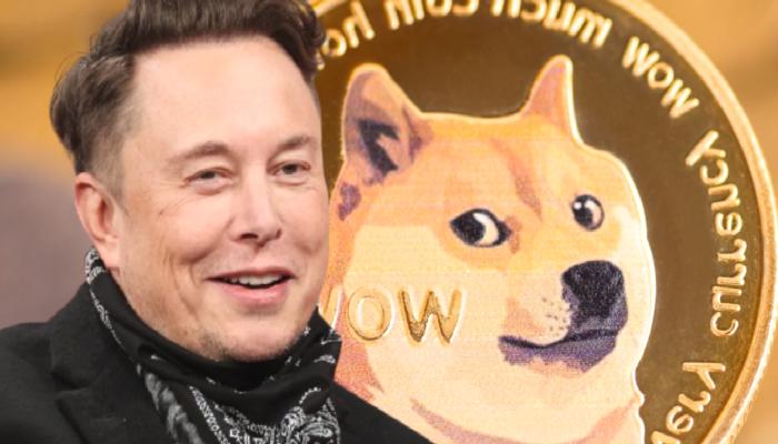 DOGE Değil: Elon Musk’un Bu Altcoin ile İlişkisi Çıktı!
