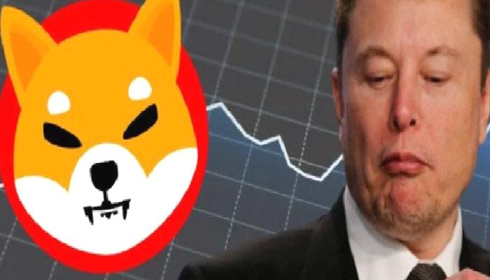 DOGE Mucidi, Elon Musk ve SHIB Ortasındaki Gizemi Açıkladı!