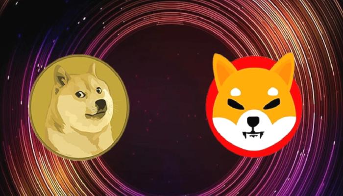 Dogecoin ve SHIB İçin 3 Kıymetli Şubat Tahmini!