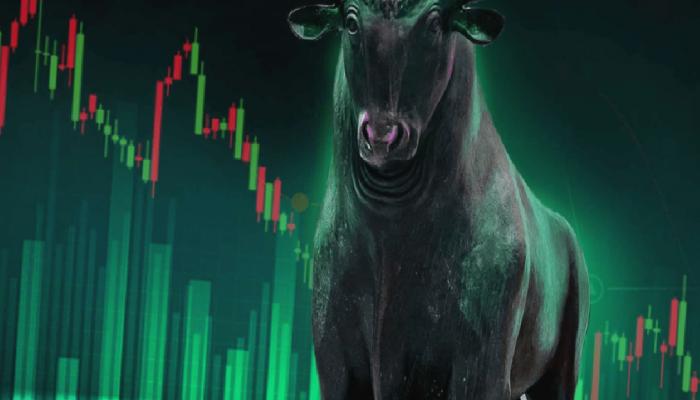 Finans Şirketi: Bu Altcoin, Görülmemiş Bir Potansiyele Sahip!