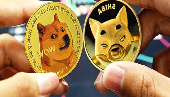 Finans Şirketi: SHIB, DOGE’u Bırakın! Bu 3 Altcoine Bakın