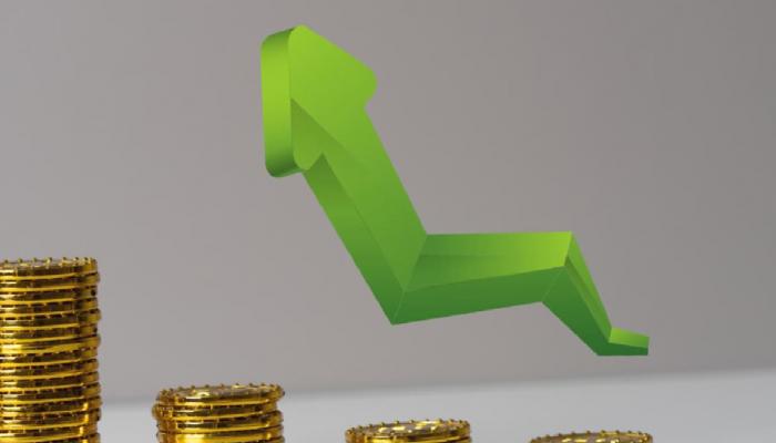 Kurumsal Para Bu Altcoin İçin Geliyor: Devasa Artış!
