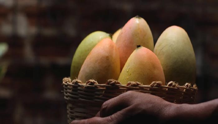 Mango Markets İstismarında Şaşırtan Savunma!