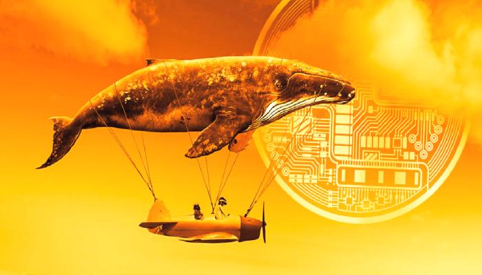 Santiment: Hayalet Balinalar, Bu 2 Altcoin’i Satıyor!