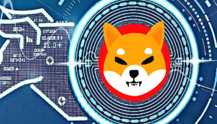 SHIB Topluluğu Oyladı: Bu Altcoin Top 100’e Girebilir!