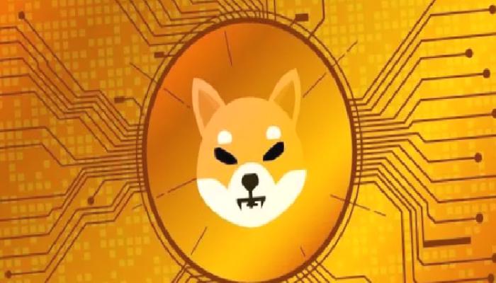 Shiba Inu (SHIB) Mucidi, Beklenen Tarihi Açıkladı!