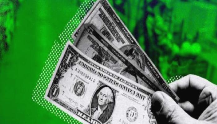 Shitcoin Ticaretine 4,6 Milyar Dolar Harcandı