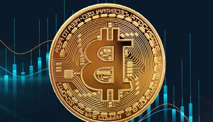 Ünlü Kripto Para Balinası: Bu 2 Coin Ay’ı Hedefliyor!