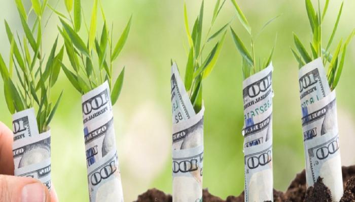 Web3 Altyapı Startup’ı 5,3 Milyon Dolar Fon Topladı