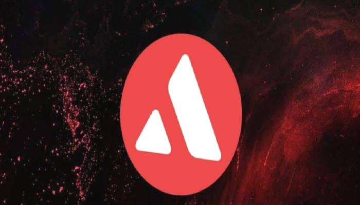 Yatırımcıların Radarında AVAX Tabanlı Bu 3 Altcoin Var!