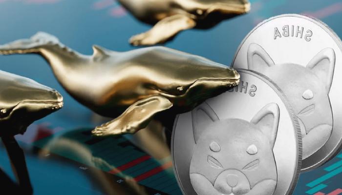 5 Dev Balina SHIB, DOGE Değil: Bu Altcoin’den Aldı!