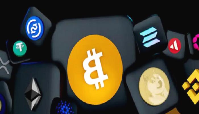 Analist: Kazanan Bir Portföy İçin En Âlâ 6 Altcoin Bunlar!