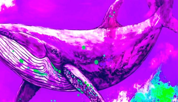 Balina Binance’deki Bu 2 Altcoin İçin Geldi: Torbalarca Aldı!