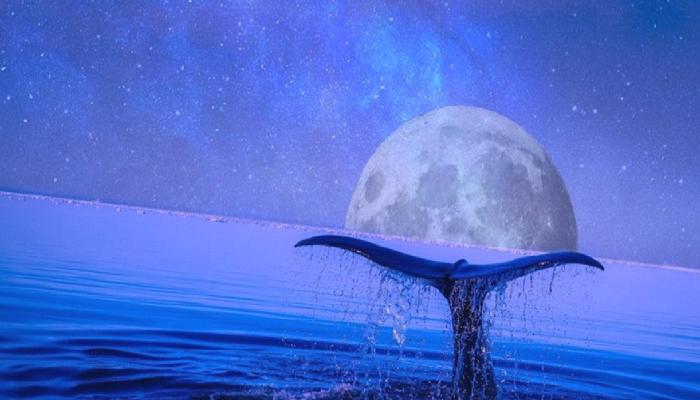 Balina Binance’e Bu Coini Döküyor! ‘Altcoin Tehlikede’
