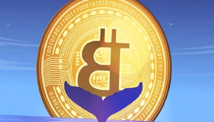 Balinalar, Bitcoin Long’larını Süratle Kapatıyor! Bu Ne Demek?