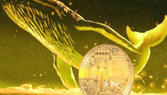 Balinalar SHIB ve DOGE Toplarken Bu Altcoin Satılıyor!